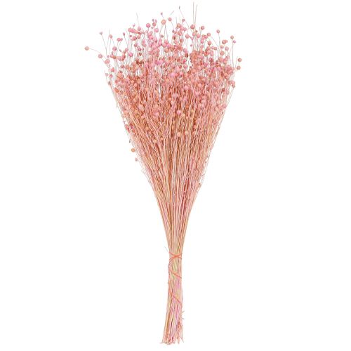 Artikel Droog Gras Gedroogd Vlas Lichtroze H50–55cm 80g