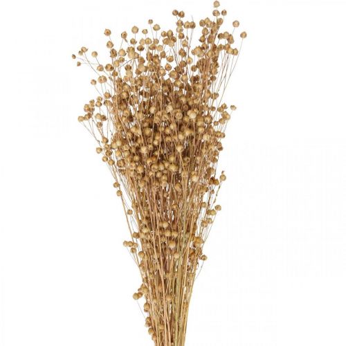 Floristik24 Gedroogd Gras Gedroogd Vlas Naturel H50-55cm 80g