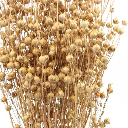Floristik24 Gedroogd Gras Gedroogd Vlas Naturel H50-55cm 80g