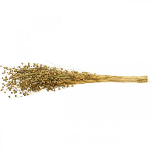 Floristik24 Gedroogd Gras Gedroogd Vlas Olijfgroen H50-55cm 80g