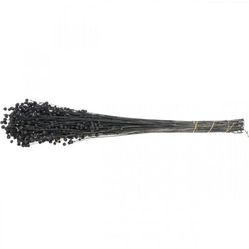 Artikel Gedroogd Gras Gedroogd Vlas Zwart H50–55cm 80g