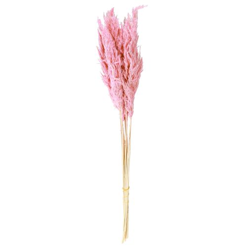 Artikel Gedroogd Gras Rietgras Gedroogd Decoratief Gras Roze 70cm 10 Stuks