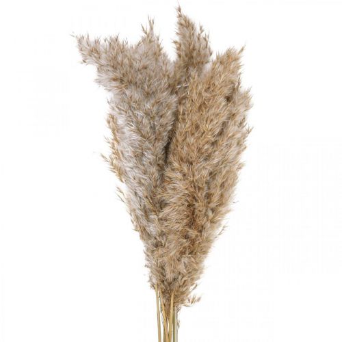 Drooggras zegge gedroogd siergras naturel 70cm 10 stuks