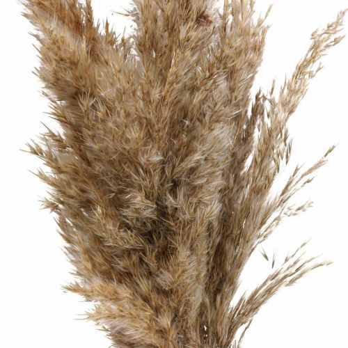 Floristik24 Drooggras zegge gedroogd siergras naturel 70cm 10 stuks