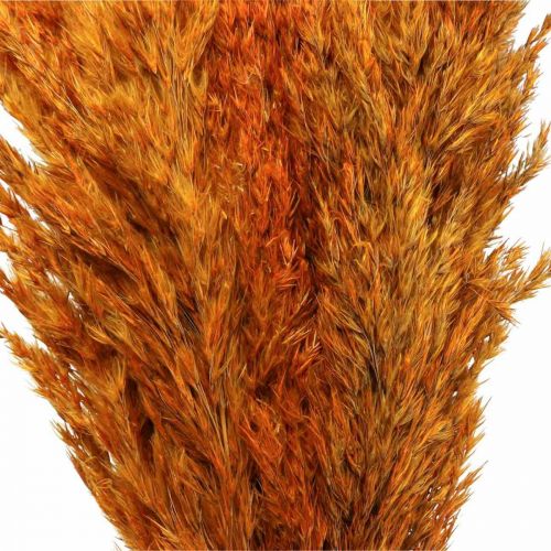 Artikel Drooggras zegge gedroogd siergras oranje 70cm 10 st