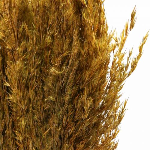 Artikel Drooggraszegge gedroogd olijfgroen siergras 70cm 10 stuks