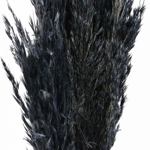 Artikel Gedroogd gras Zeggegras gedroogd zwart siergras 70cm 10 stuks