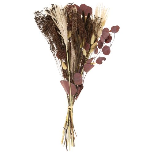 Floristik24 Droogboeket eucalyptus drooggrasboeket 60cm 120g