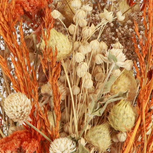 Artikel Droogboeket distel duizendblad oranje gebleekt 55cm 150g