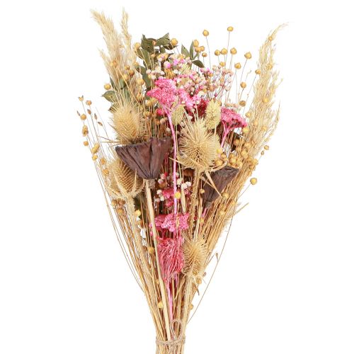 Floristik24 Droogboeket lotusvlas distel roze crème 50cm 100g