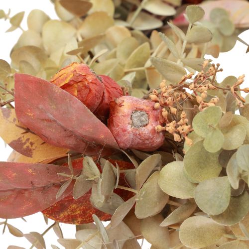 Floristik24 Deurkrans eucalyptus eucalyptuskrans kunstdecoratie Ø55cm
