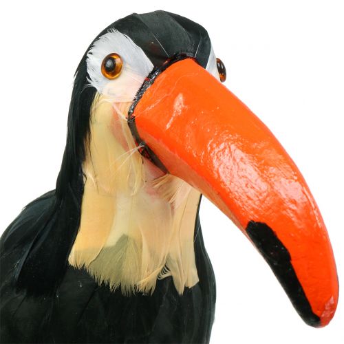Floristik24 Deco toekan met veren zwart L37cm