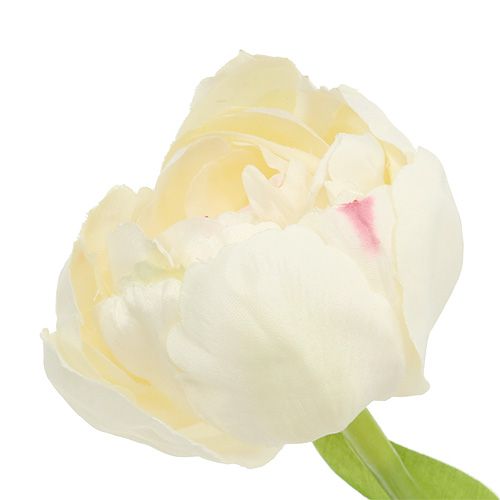 Floristik24 Tulpencrème 37cm 6st