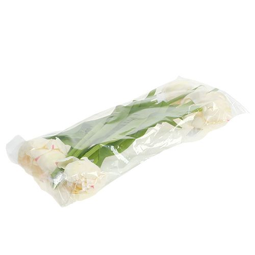 Floristik24 Tulpencrème 37cm 6st