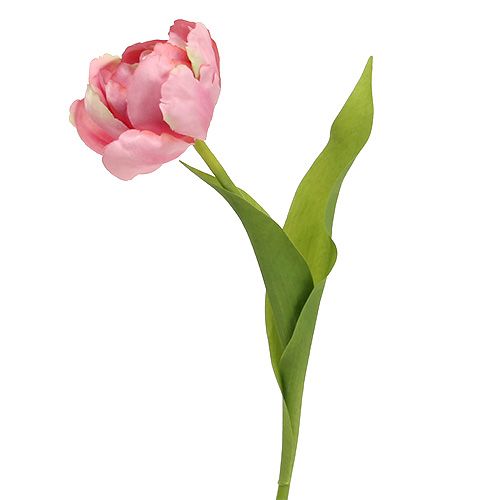 Floristik24 Tulp roze 37cm 6st