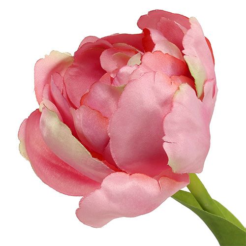 Floristik24 Tulp roze 37cm 6st