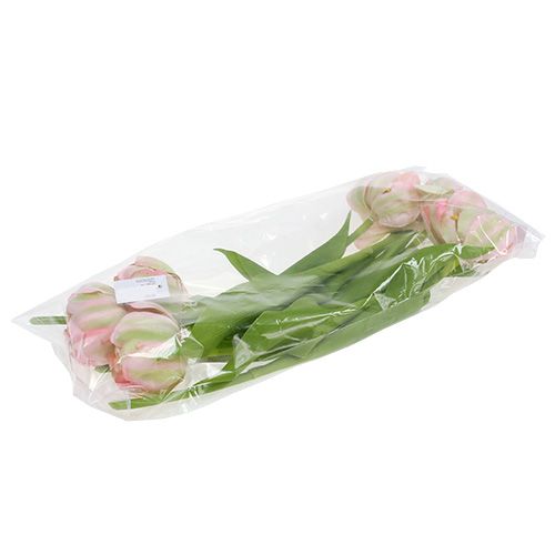 Floristik24 Tulp roze, groen 37cm 6st