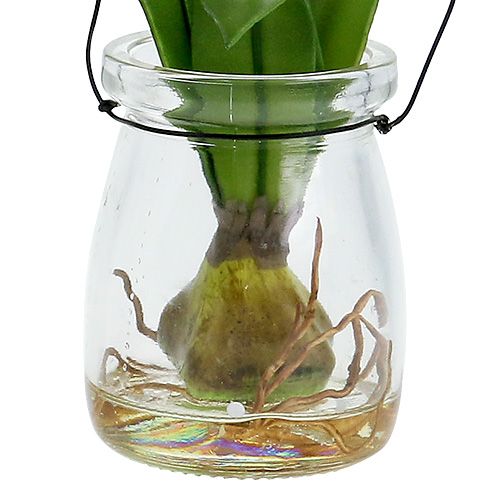 Floristik24 Tulp in een glasroze H22.5cm 1 st