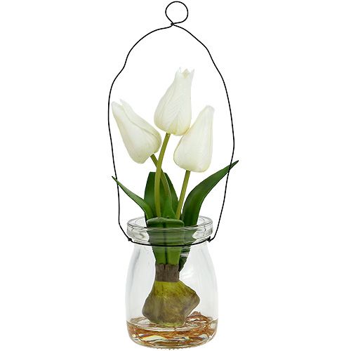Floristik24 Tulp wit in een glas H21cm 1p