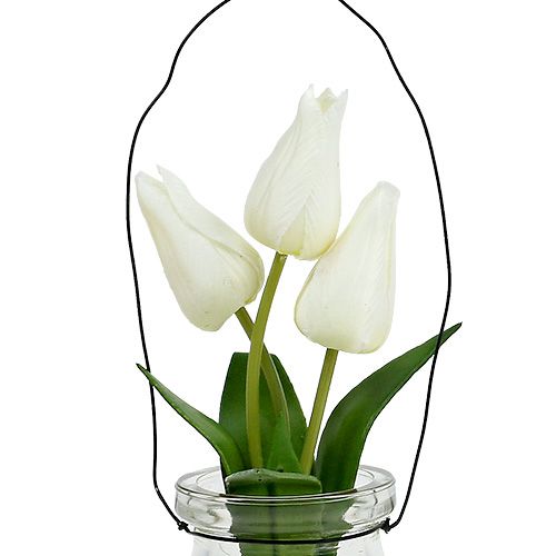 Floristik24 Tulp wit in een glas H21cm 1p