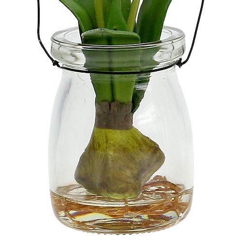 Floristik24 Tulp wit in een glas H21cm 1p