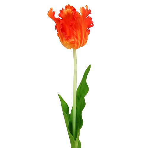 Floristik24 Tulp oranje 70cm