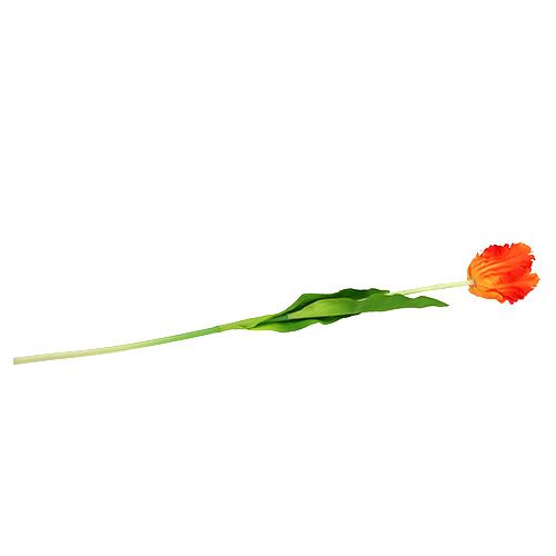 Floristik24 Tulp oranje 70cm
