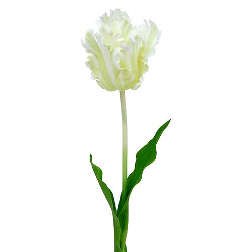 Floristik24 Tulp kunstwit 70cm