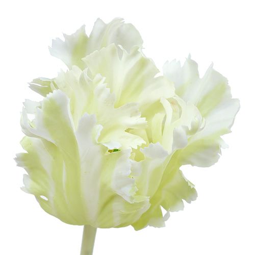 Floristik24 Tulp kunstwit 70cm