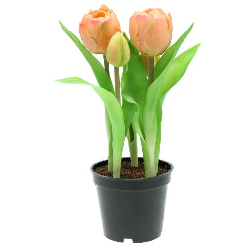 Floristik24 Tulp real-touch perzikkleuren 23cm