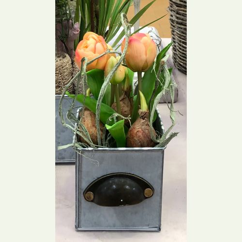 Floristik24 Papegaaitulp Real-Touch in een pot roze 23cm