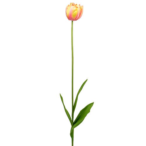 Floristik24 Tulpen roze-geel 86cm 3st