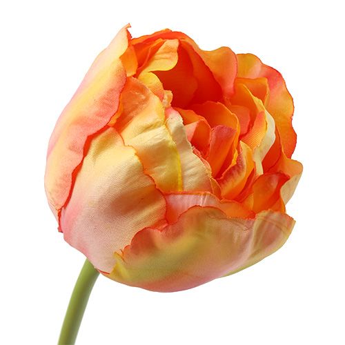 Floristik24 Tulpen roze-geel 86cm 3st