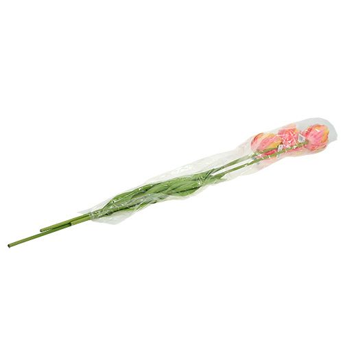 Floristik24 Tulpen roze-geel 86cm 3st