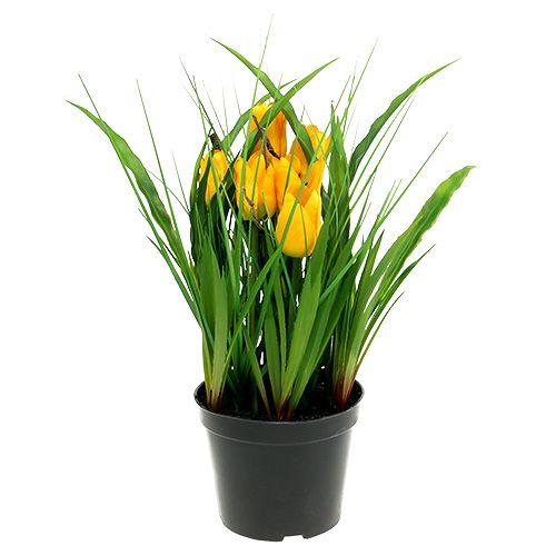 Floristik24 Tulpen in gele pot 30cm