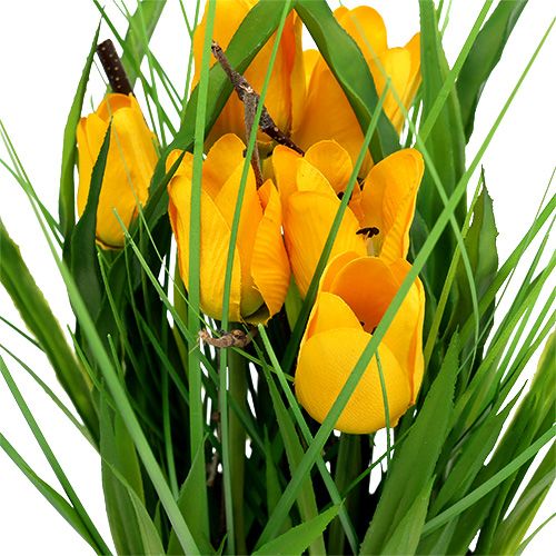 Floristik24 Tulpen in gele pot 30cm