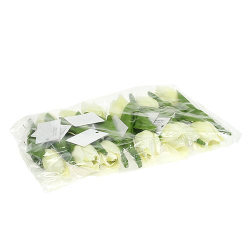 Floristik24 Voorjaarsdecoratie, kunsttulpen, zijden bloemen, decoratieve tulpen groen/creme 12 stuks