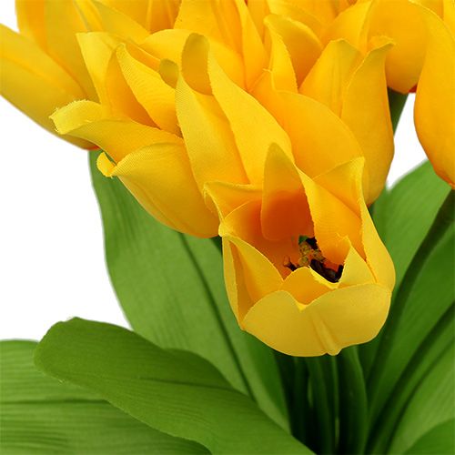 Floristik24 Tulpenstruik Geel H30cm