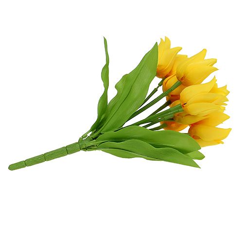 Floristik24 Tulpenstruik Geel H30cm