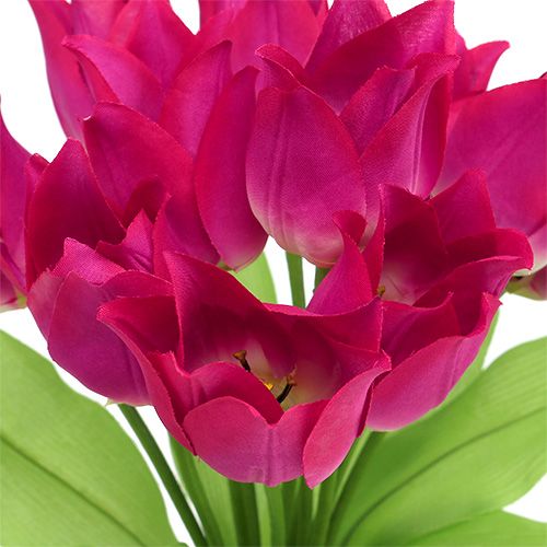 Floristik24 Tulpenstruik roze L 30cm