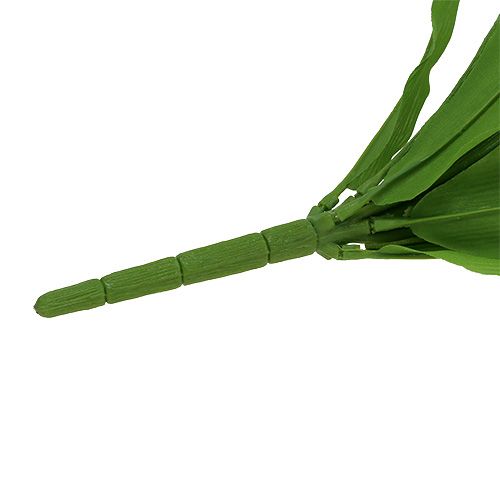 Floristik24 Tulpenstruik wit 30cm