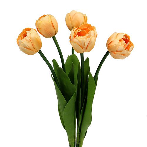 Floristik24 Tulpenboeket abrikoos 43cm