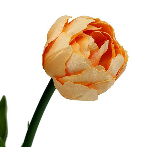 Floristik24 Tulpenboeket abrikoos 43cm