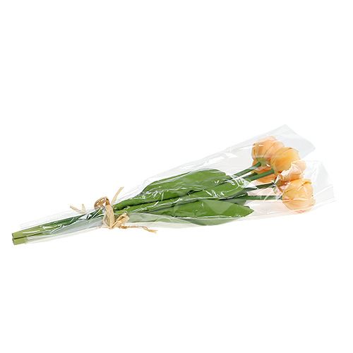 Floristik24 Tulpenboeket abrikoos 43cm