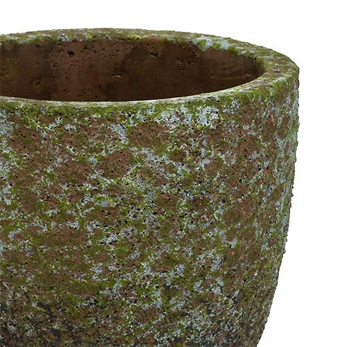 Floristik24 Plantenbak mossy grijs, groen Ø14cm H14cm 2st