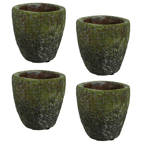 Floristik24 Plantenbak met mos Ø10cm H10.5cm 4st