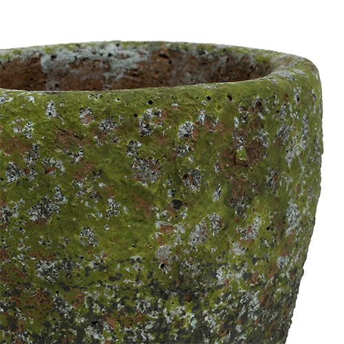 Floristik24 Plantenbak met mos Ø10cm H10.5cm 4st