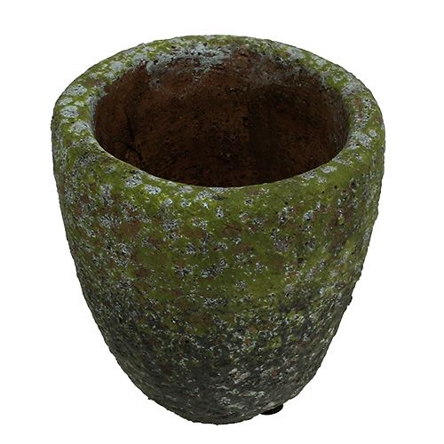 Floristik24 Plantenbak met mos Ø10cm H10.5cm 4st
