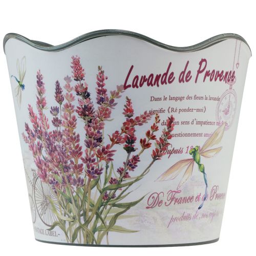 Floristik24 Plantenbak kunststof bloempot zomer lavendel Ø16,5cm H13,5cm