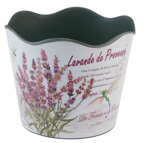 Artikel Plantenbak kunststof bloempot zomer lavendel Ø16,5cm H13,5cm